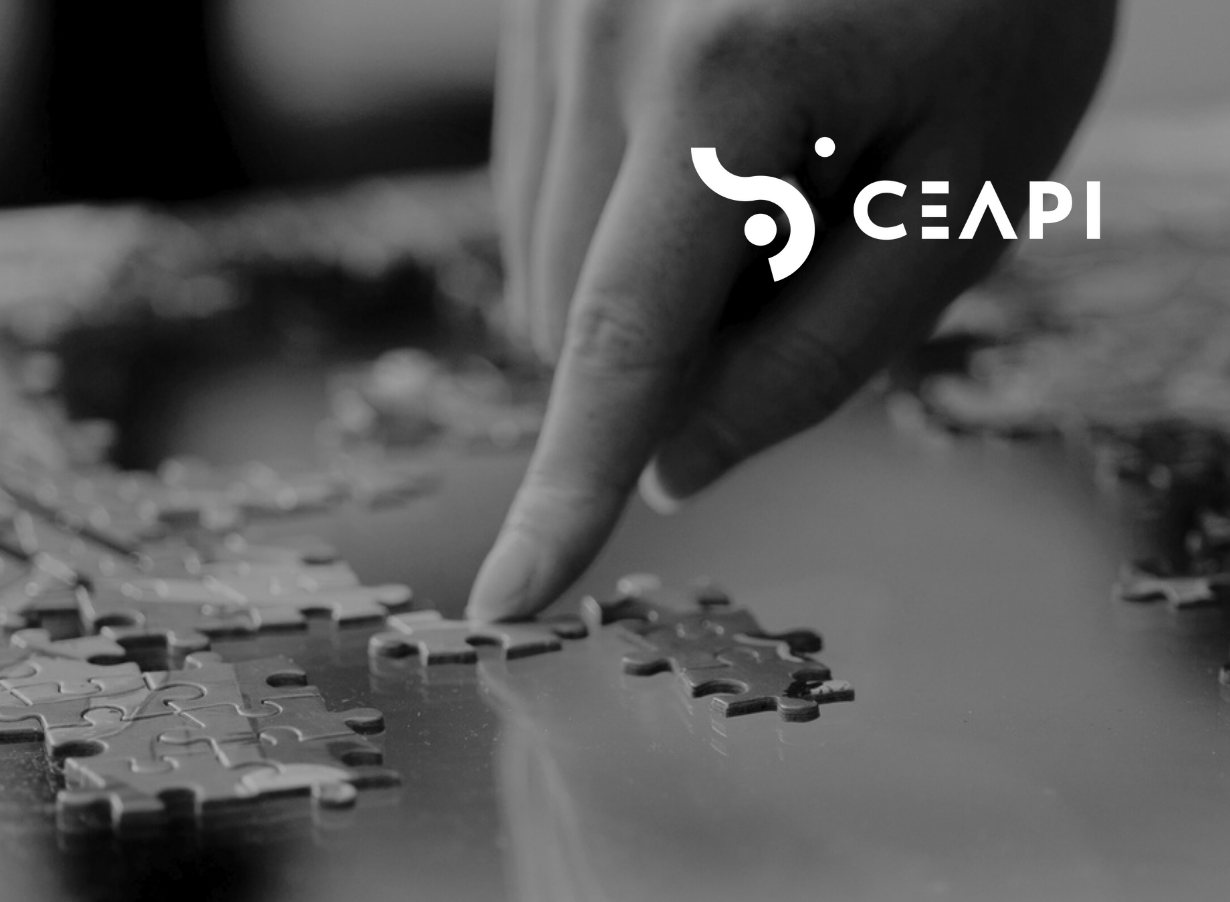 CEAPI lanza diez propuestas para Una Iberoamérica más conectada con la UE